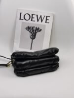 Loewe 166 - 图片 7