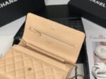 Chanel 006 - 图片 7