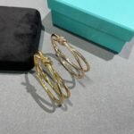 Tiffany and Co TIFFANY Knot Double Row Hinged Bangle - 图片 8