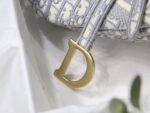 Dior 160 - 图片 8