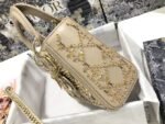 Dior 289 - 图片 8