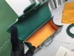Goyard 210 - 图片 8
