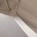 Loewe 031 - 图片 8
