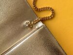 YSL 105 - 图片 8