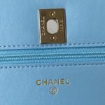 Chanel 310 - 图片 8