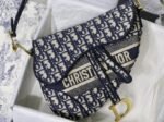 Dior 163 - 图片 9