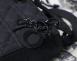 Dior 165 - 图片 9