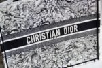 Dior 213 - 图片 9
