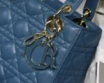 Dior 254 - 图片 9