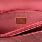 Chanel 309 - 图片 9