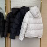 Fendi Double F Full Print Down Jacket Brown - 图片 5