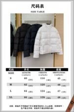 Fendi Double F Full Print Down Jacket Brown - 图片 8