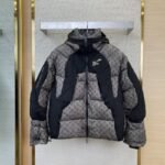 LV warm colour-changing jacquard down jacket