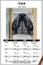 LV warm colour-changing jacquard down jacket - 图片 10