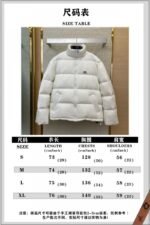 Balenciaga 3M Logo Down Jacket White - 图片 9