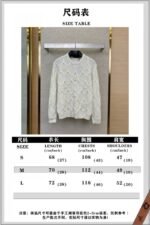LV Skiing Beaded Crew Neck Sweater - 图片 10