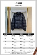 LV nylon waterproof zip down jacket - 图片 10