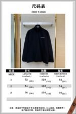 Balenciaga Half Zip Ski Sweatshirt - 图片 10