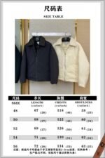 Bottega Veneta Lapel Down Jacket Black - 图片 10