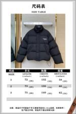 Balenciaga Reversible Winter Burst Down Jacket - 图片 10