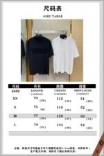 Balenciaga Applique Embroidery Aged Short Sleeve T-Shirt White - 图片 10