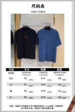Balenciaga Wheatsheaf Letters Embroidered Short Sleeve T-Shirt Blue - 图片 10