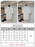 Dior Cd Letter Embroidered Polo Shirt 2 - 图片 10