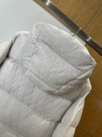 LV Leather-Label Hooded Down Jacket 1 - 图片 6