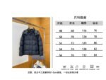 Prada Classic Triangle Logo Detachable Sleeves Down Jacket 1 - 图片 10