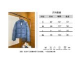 Dior All-Over Print Jacquard Stand Collar Down Jacket 1 - 图片 10