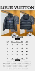 LV Embossed Floral Hooded Down Jacket - 图片 10