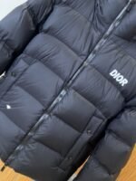 Dior Letter Print Stand Collar Hooded Quilted Down Jacket 1 - 图片 4