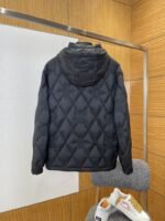 LV Quilted Hooded Down Jacket 2 - 图片 2