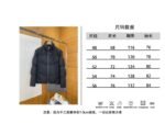 Fendi Detachable Sleeve Stand Collar Down Jacket 3 - 图片 10