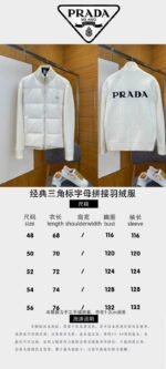 Prada Enamel Triangle Logo Letter Embroidered Down Jacket 2 - 图片 10