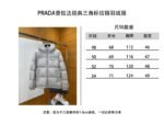 Prada Classic Triangle Logo Stand Collar Down Jacket 2 - 图片 10