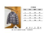 Balenciaga Embroidered Stand Collar Down Jacket 1 - 图片 10