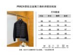 Prada Metal Triangle Patchwork Down Jacket 1 - 图片 10