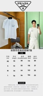 Prada Lake View Print Casual Short-Sleeve T-Shirt - 图片 10